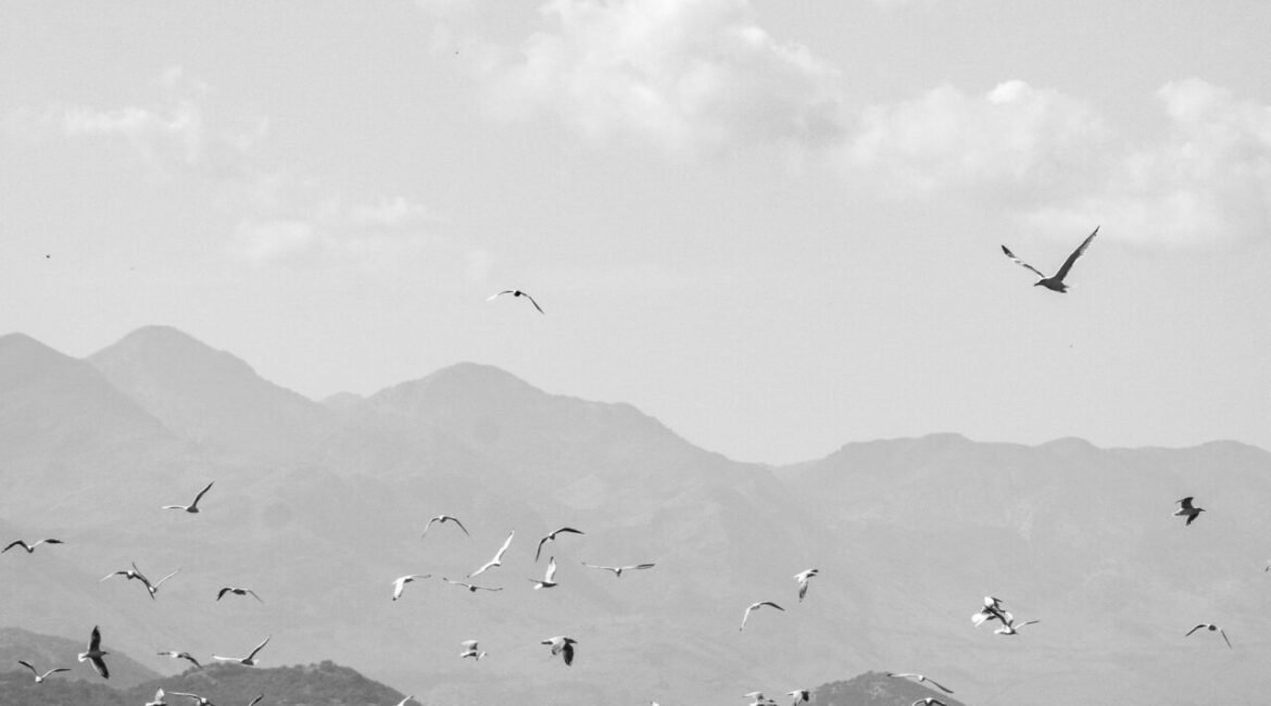 The largest lake in Balcan!