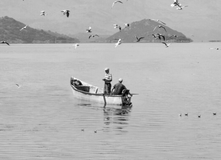 The largest lake in Balcan!