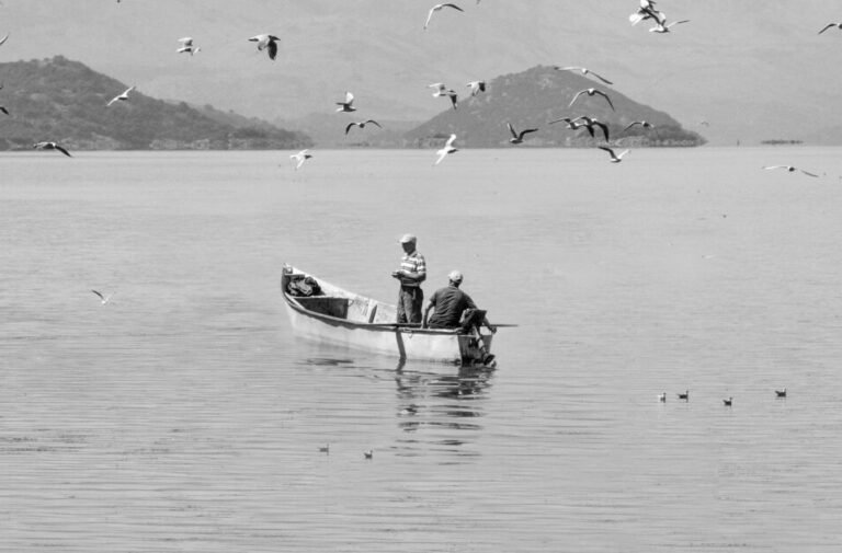 A serene black and white scene of fishermen on Lake Shkodra in Albania with seagulls circling overhead.